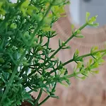 T3 Clim Piscine Chauffee Proche De La Parking Dans Village