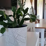 T3 Clim Piscine Chauffee Proche De La Parking Dans Village 아그