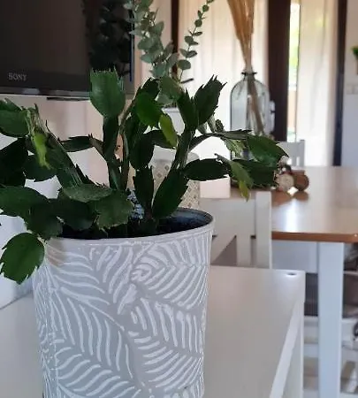 T3 Clim Piscine Chauffee Proche De La Parking Dans Village Agde