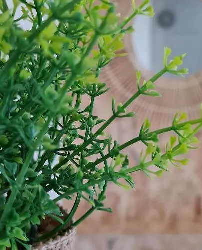 T3 Clim Piscine Chauffee Proche De La Parking Dans Village