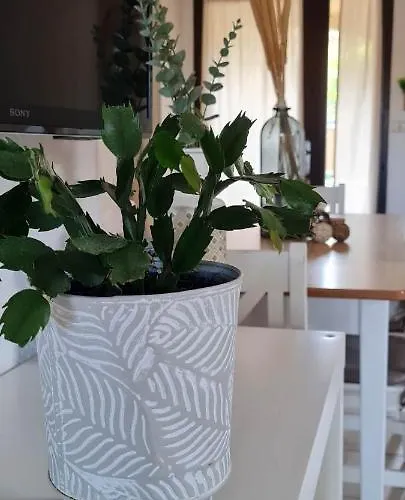 T3 Clim Piscine Chauffée Proche De La Parking Dans Village Agde